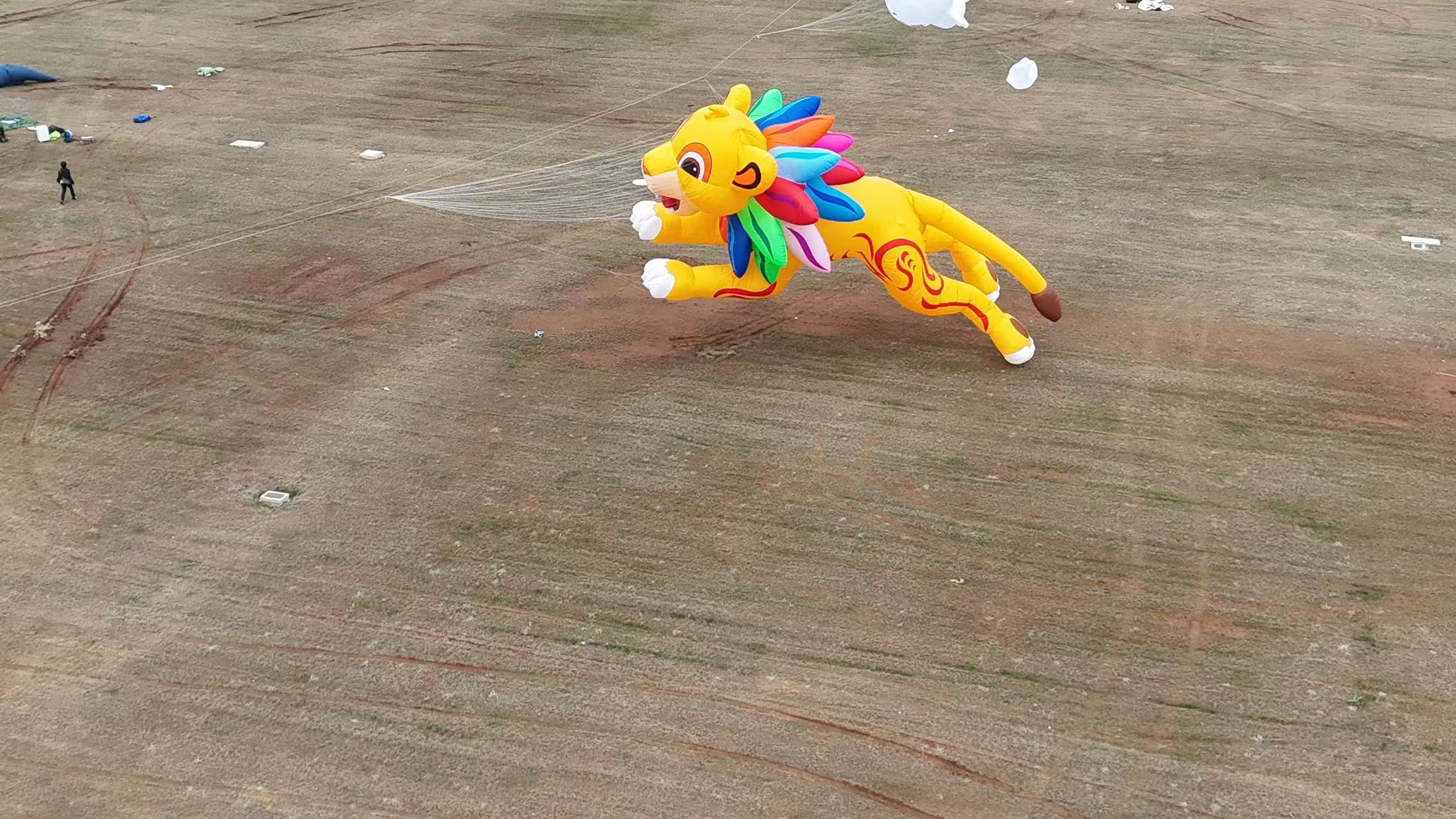 定西市品牌风筝定制风筝放飞活动策划 - 价格