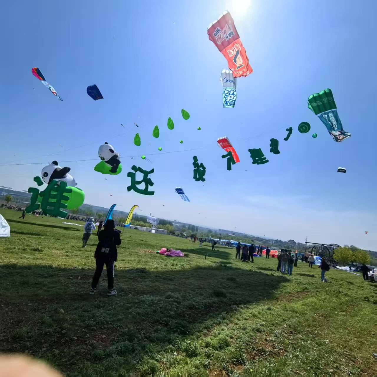 定西市宣传风筝定制风筝定制 - 方案